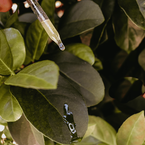 Primal Radiance Serum - Image 3